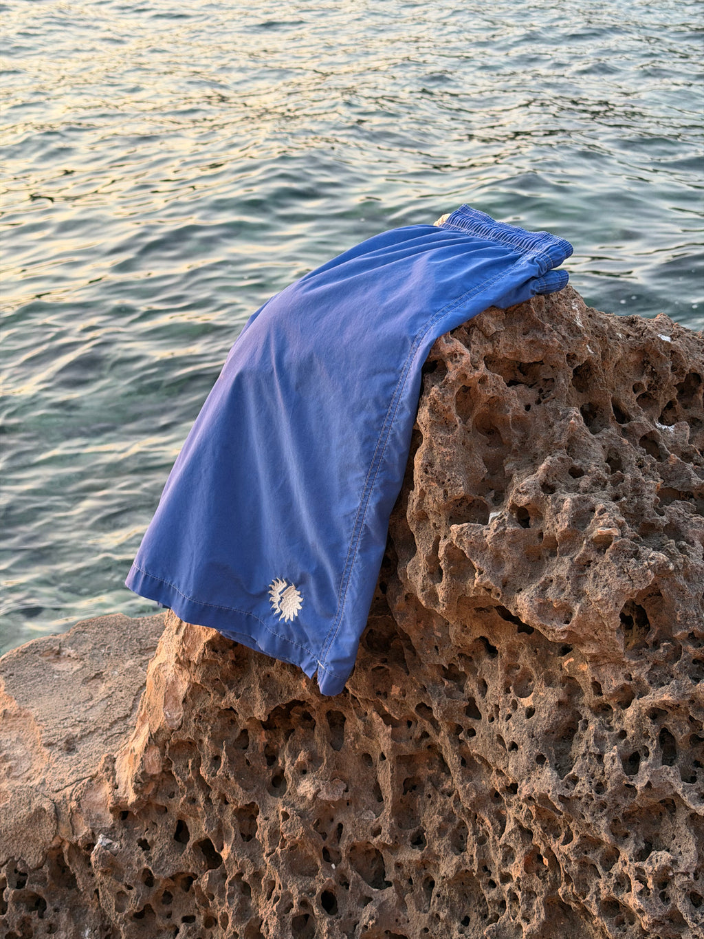 SS26 Blue Boardshorts